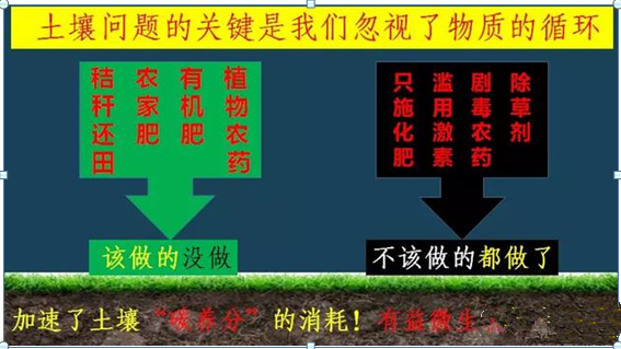 土壤修复，刻不容缓！土壤专家呼吁找回果蔬原