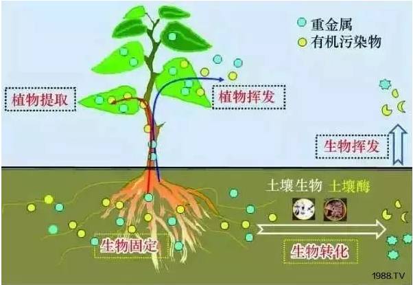 土壤板结问题,这次真的全说清楚了!(图1) 土壤板结问题,这次真的全说清楚了!(图1)